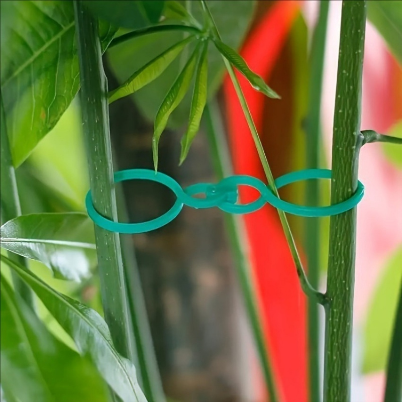 125-delige tuinplantenonderste - Tie Clip Set recensie en prijs