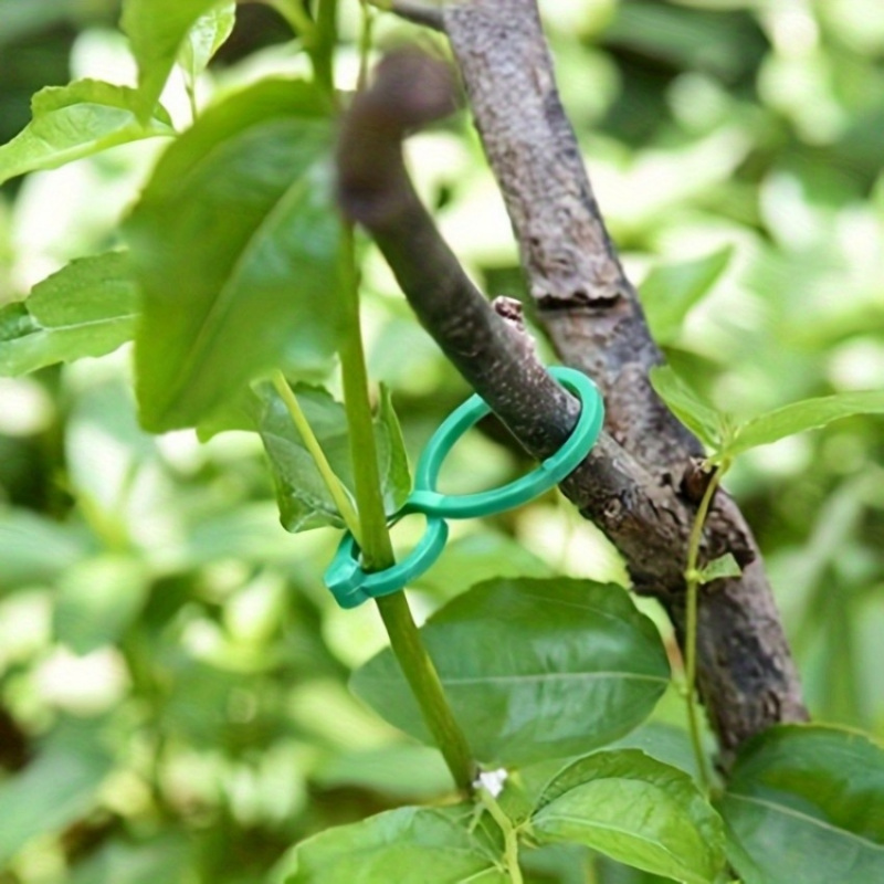 125-delige tuinplantenonderste - Tie Clip Set recensie en prijs