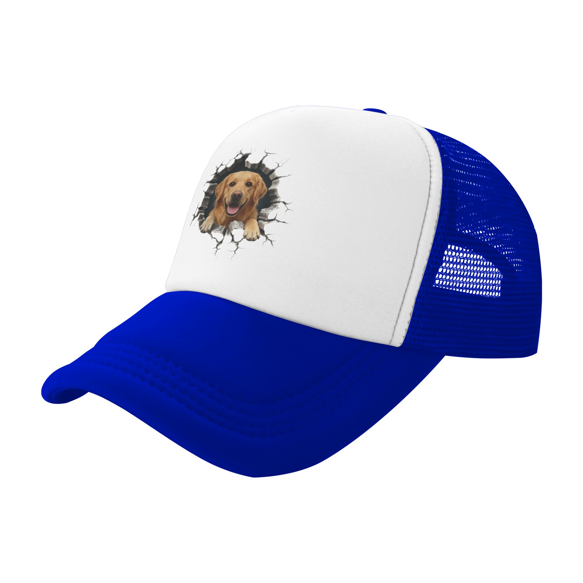 Breaking Through Golden Retrie - Hat Snapback Cap recensie en prijs